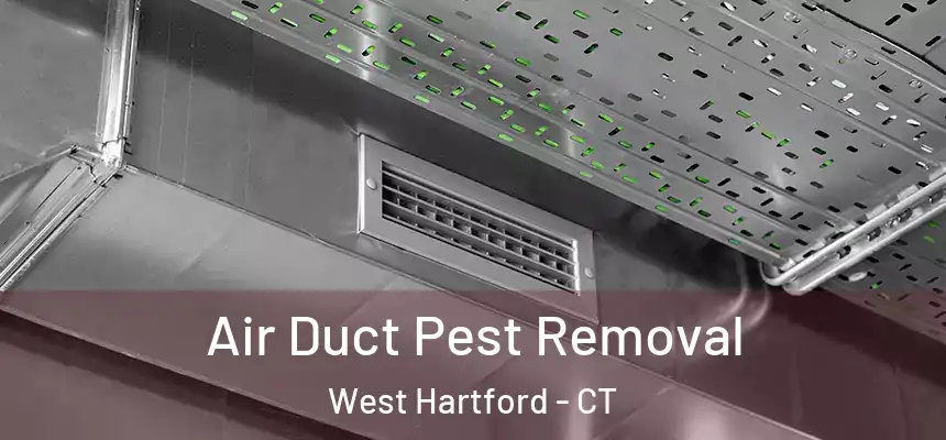 Air Duct Pest Removal West Hartford - CT
