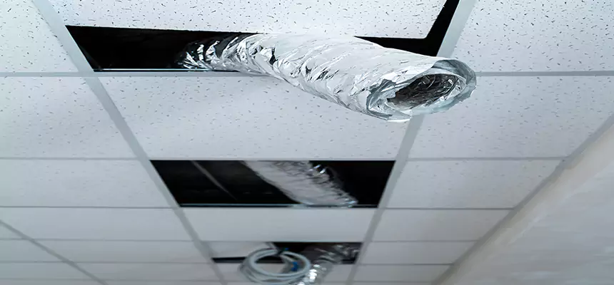 Affordable HVAC Sanitizing After Pest Removal in West Hartford