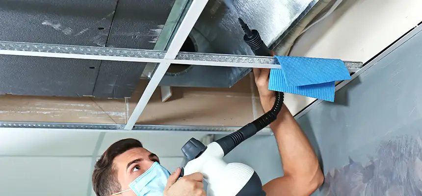 Our Air Duct Rodent Removal Services in West Hartford, CT