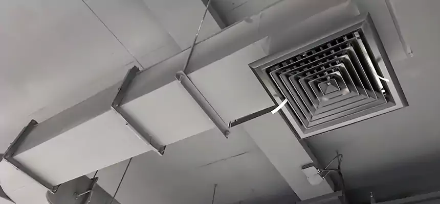 Restorative Allergy Relief Vent Cleaning – Coil, Blower & Housing Detail in West Hartford