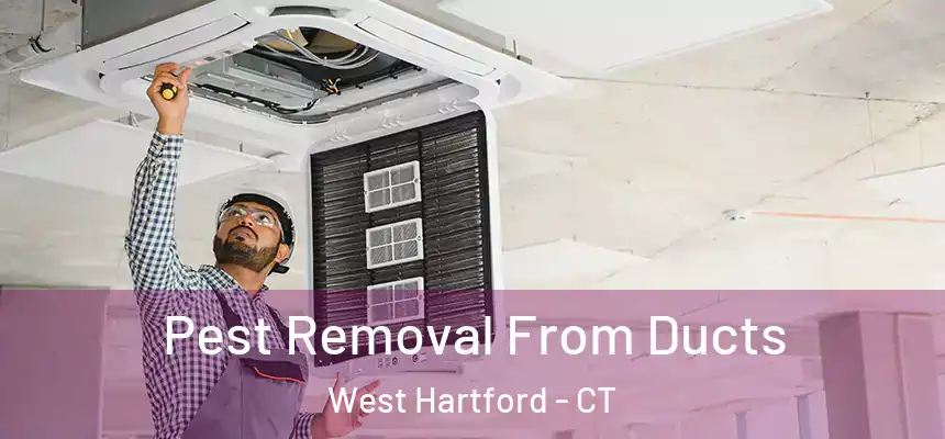 Pest Removal From Ducts West Hartford - CT
