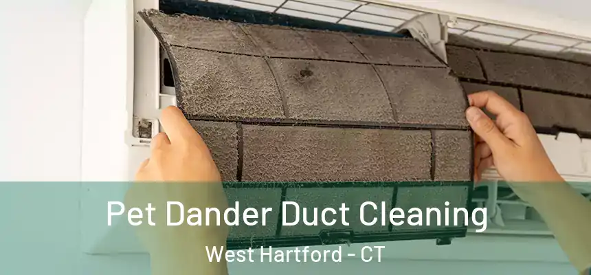 Pet Dander Duct Cleaning West Hartford - CT