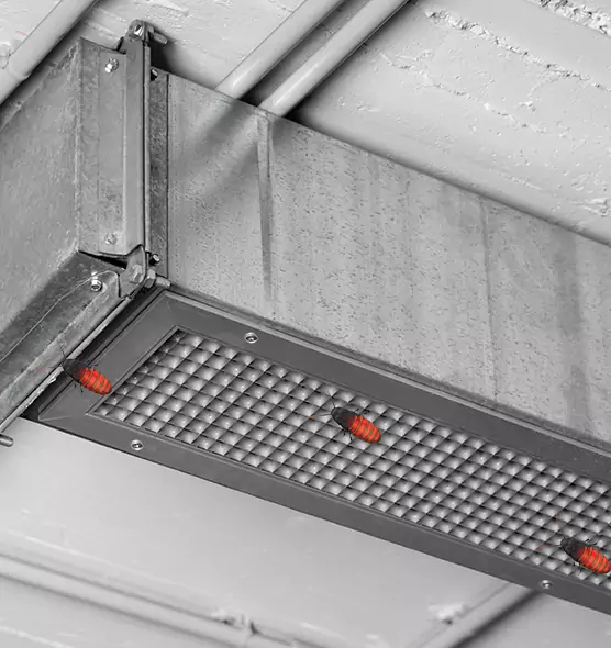 About Air Duct Cockroach Removal in West Hartford, CT