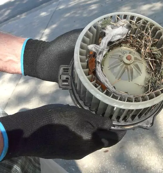 About Air Duct Mice Removal in West Hartford, CT