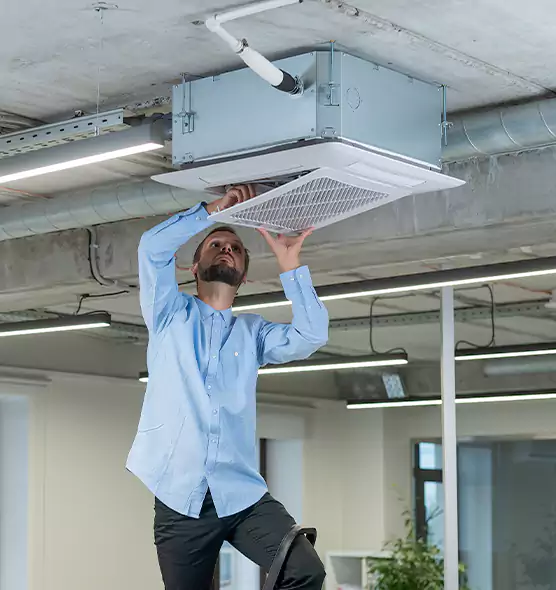 Advanced Rodent Droppings In Vents in West Hartford, CT