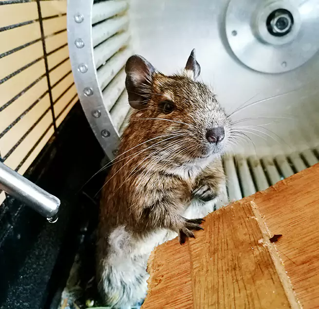 Why Homeowners & Businesses Trust Us West Hartford, CT?